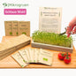 Microgreens Starter-Set