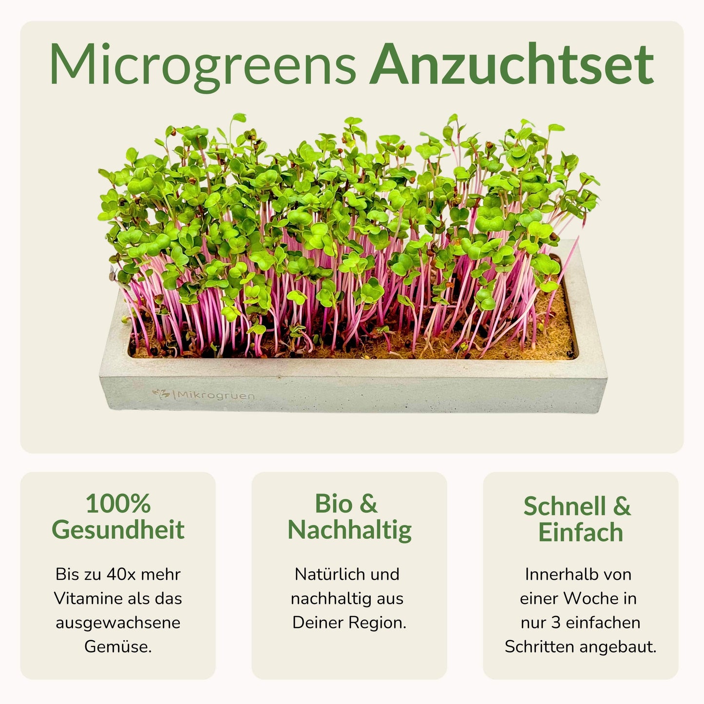Microgreens Starter-Set