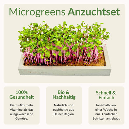 Microgreens Starter-Set