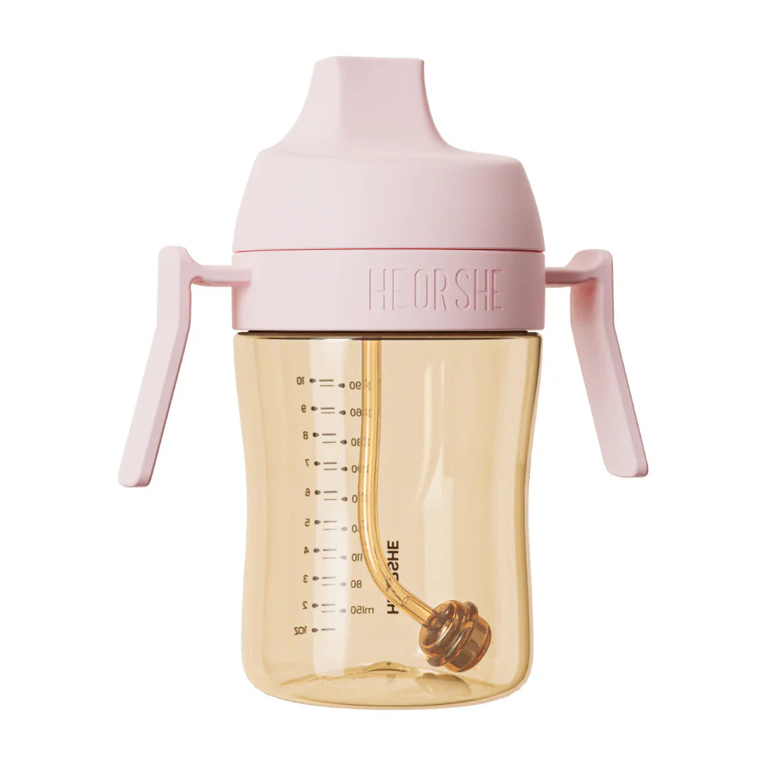 Dental Care Sippy Cup 300ml (Rosa)