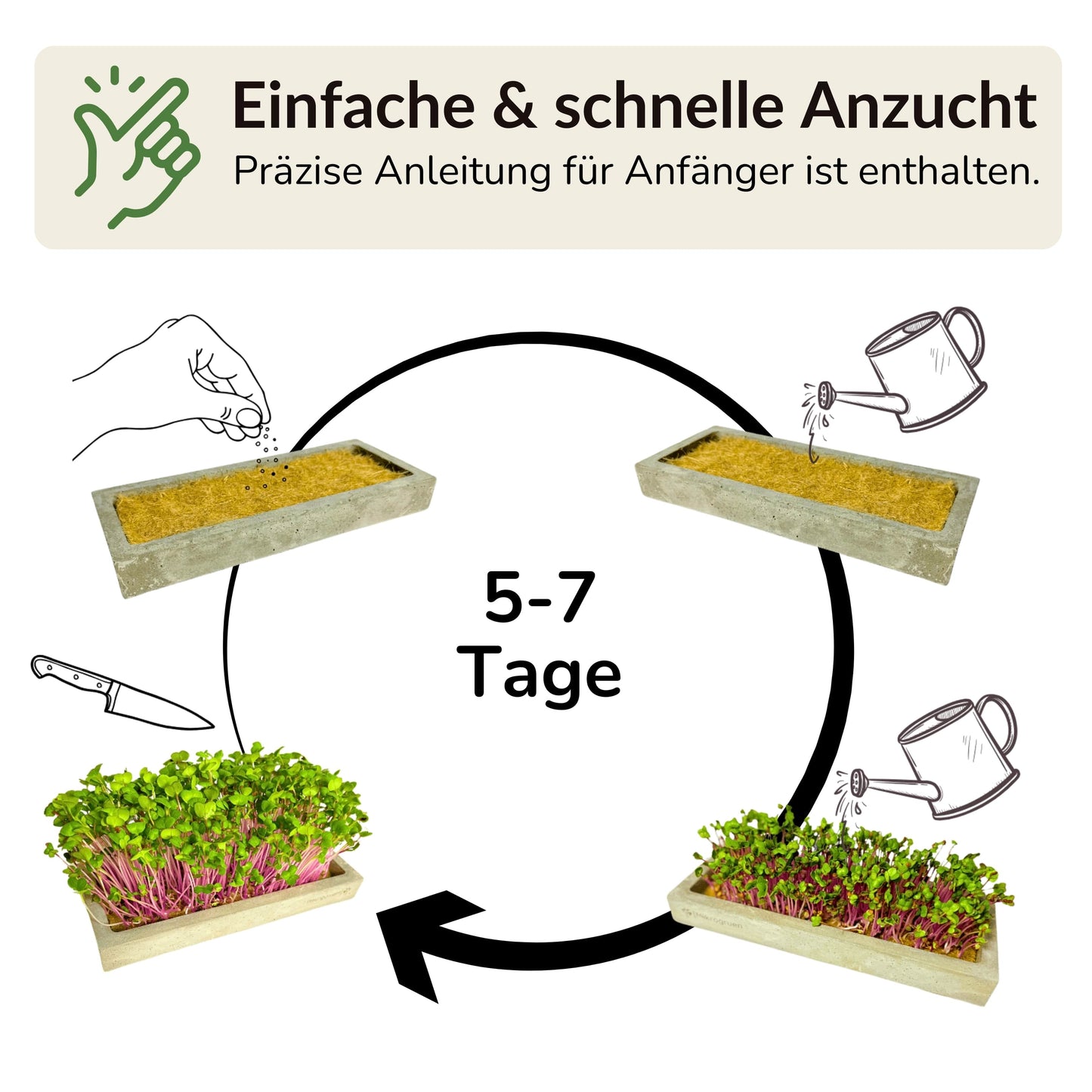 Microgreens Mini-Set