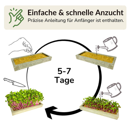 Microgreens Mini-Set