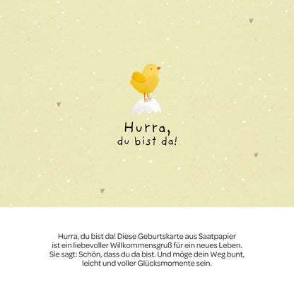 Grußkarte - Hurra, du bist da!