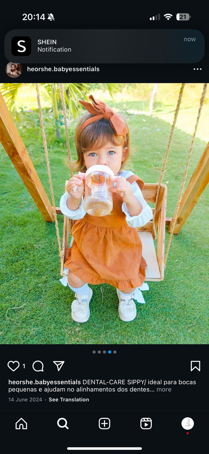 Dental Care Sippy Cup 300ml (Rosa)