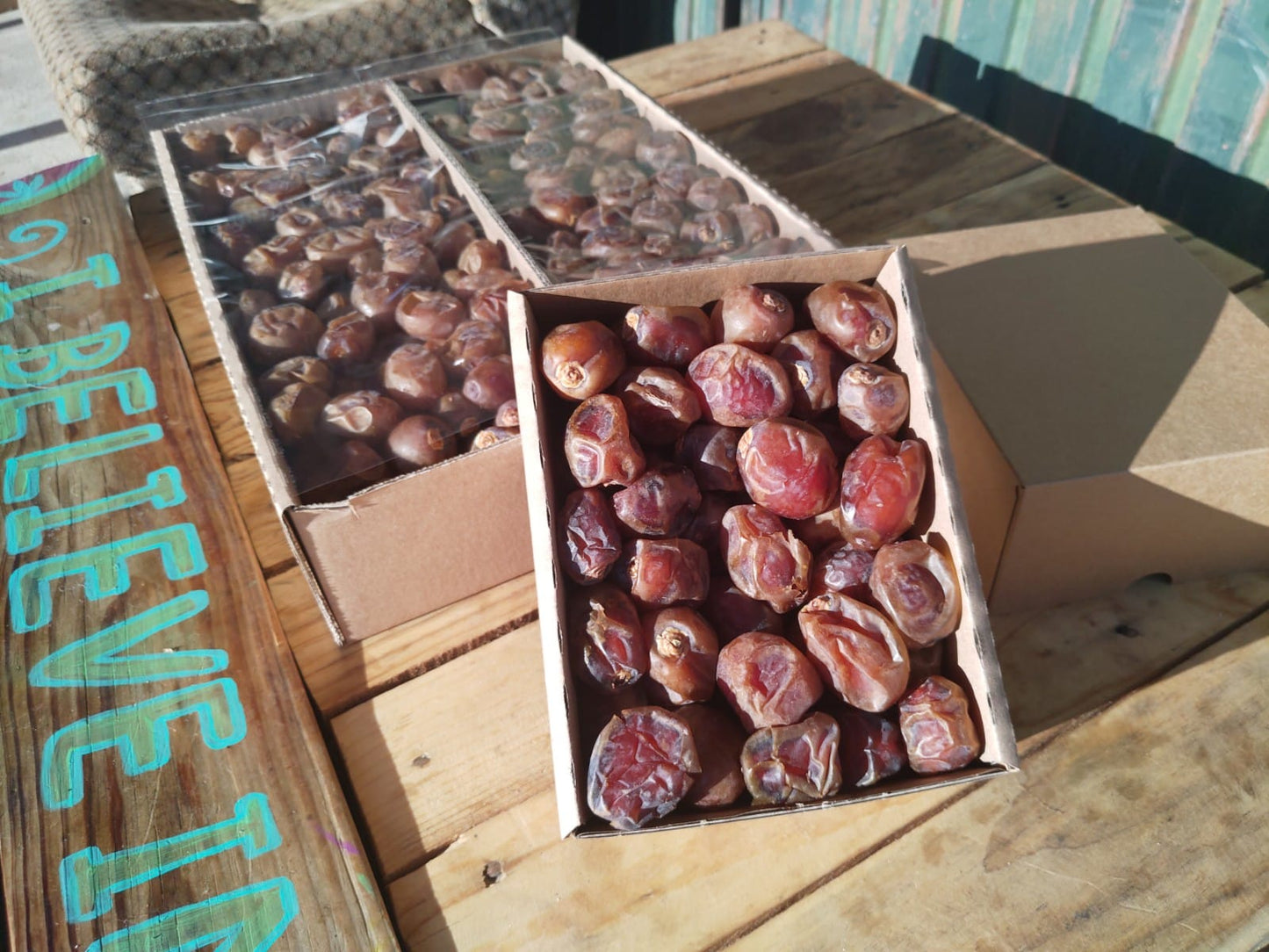 5kg Bio Dattel Barhi 'Honigball' mit Stein