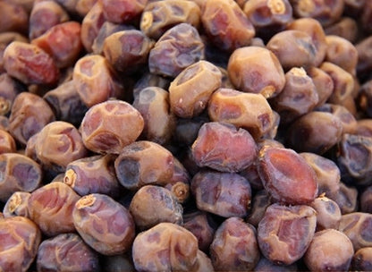 1kg Bio Dattel Barhi 'Honigball' mit Stein