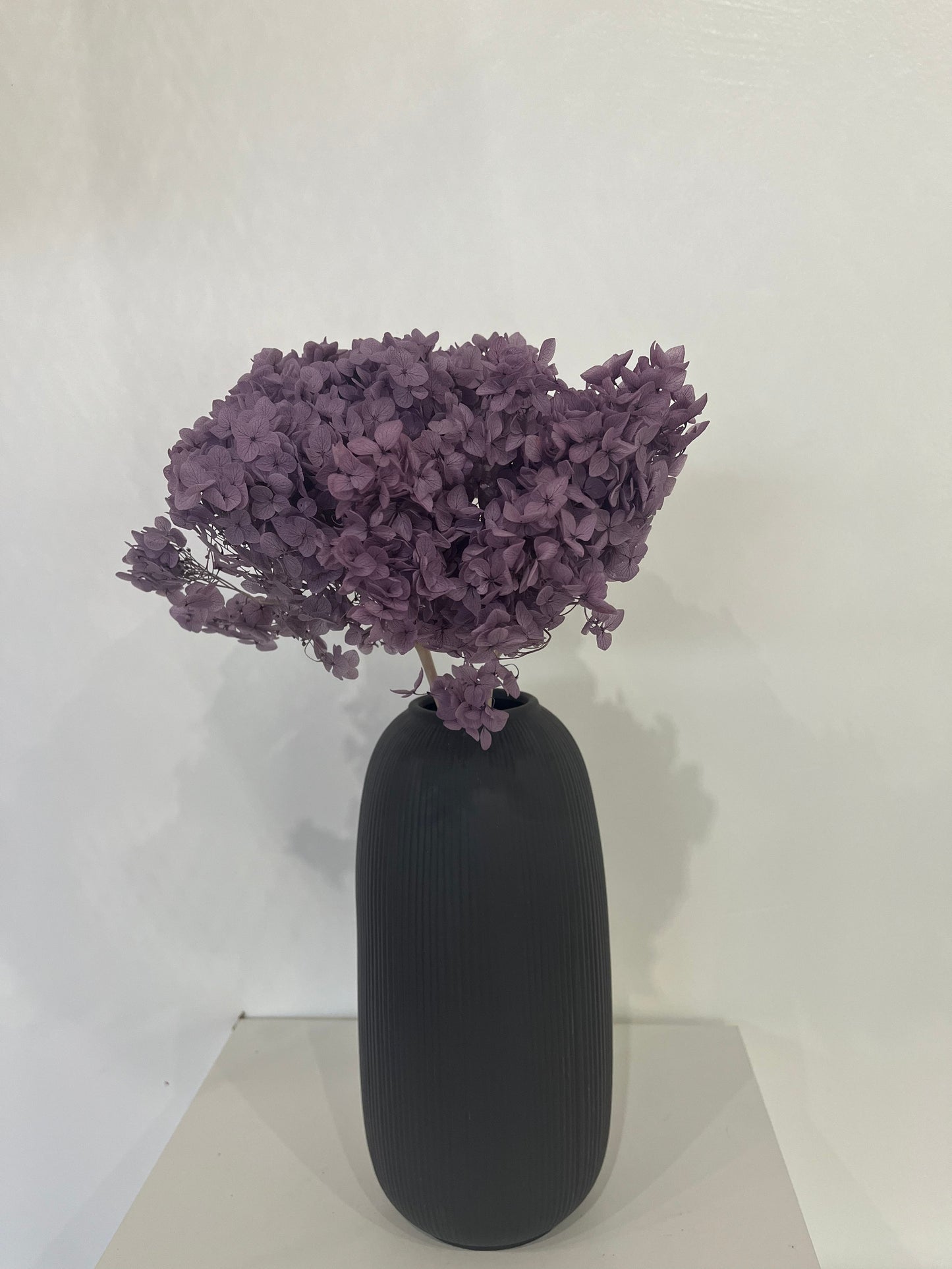 Rispenhortensie: Zeitlose Schönheit, konservierte Hortensien als perfekte Dekoration