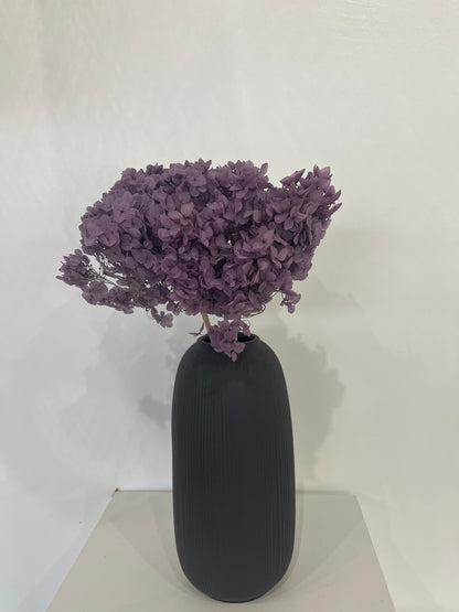 Rispenhortensie: Zeitlose Schönheit, konservierte Hortensien als perfekte Dekoration