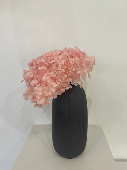 Rispenhortensie: Zeitlose Schönheit, konservierte Hortensien als perfekte Dekoration