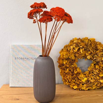 Schafgarbe getrocknet | Achillea