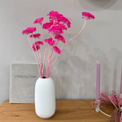 Schafgarbe getrocknet | Achillea