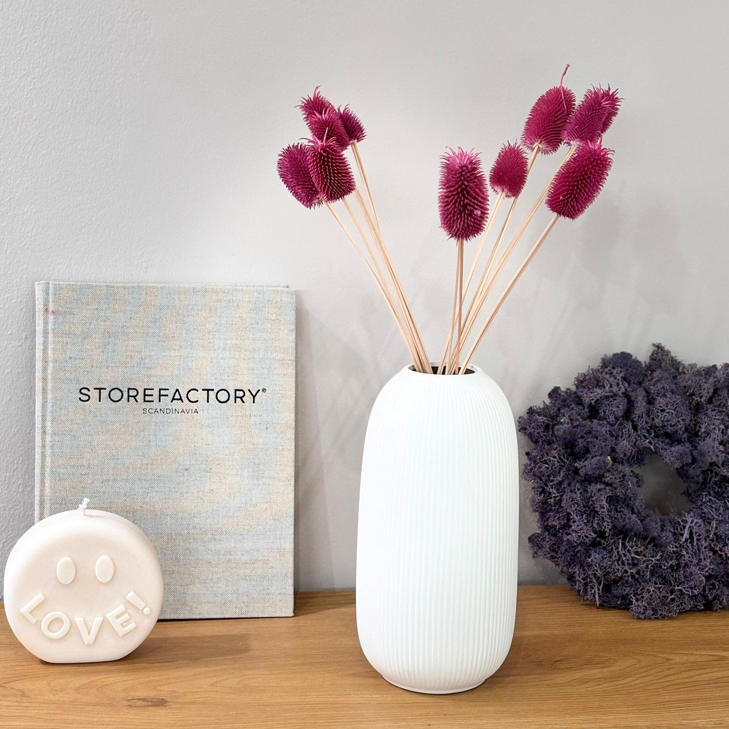 Getrocknete Distel - Cardi