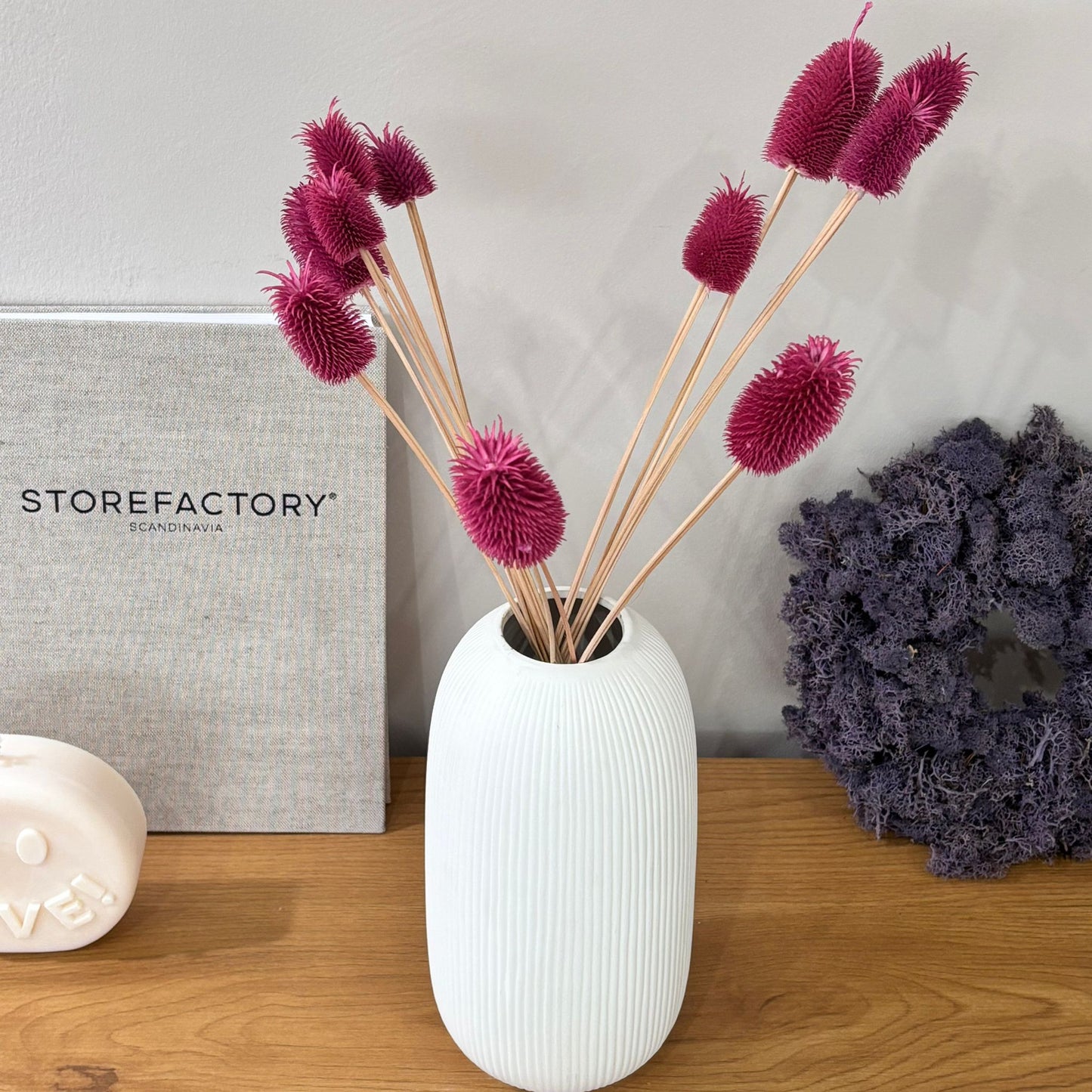 Getrocknete Distel - Cardi