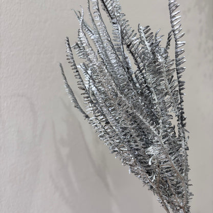 Konservierter Farn: Zauberhafte Momente für Dein Zuhause