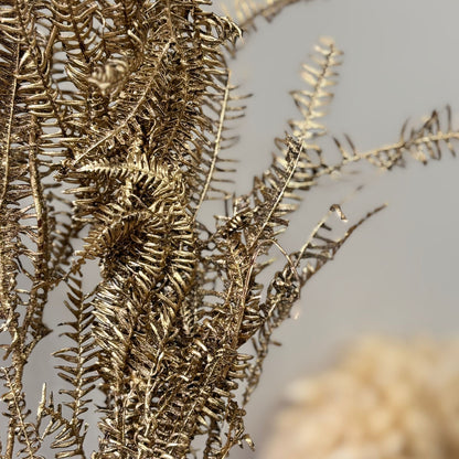 Konservierter Farn: Zauberhafte Momente für Dein Zuhause