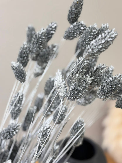 Phalaris I Kanariengras: Vielseitiger Allrounder für Deine Trockenblumen-Dekoration