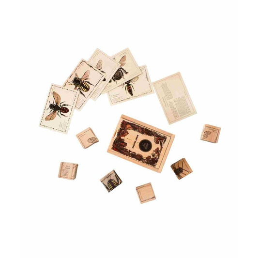 Wooden Story – Lernbausteine Bienenarten | Bunt