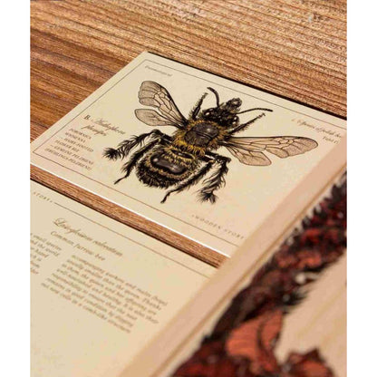 Wooden Story – Lernbausteine Bienenarten | Bunt