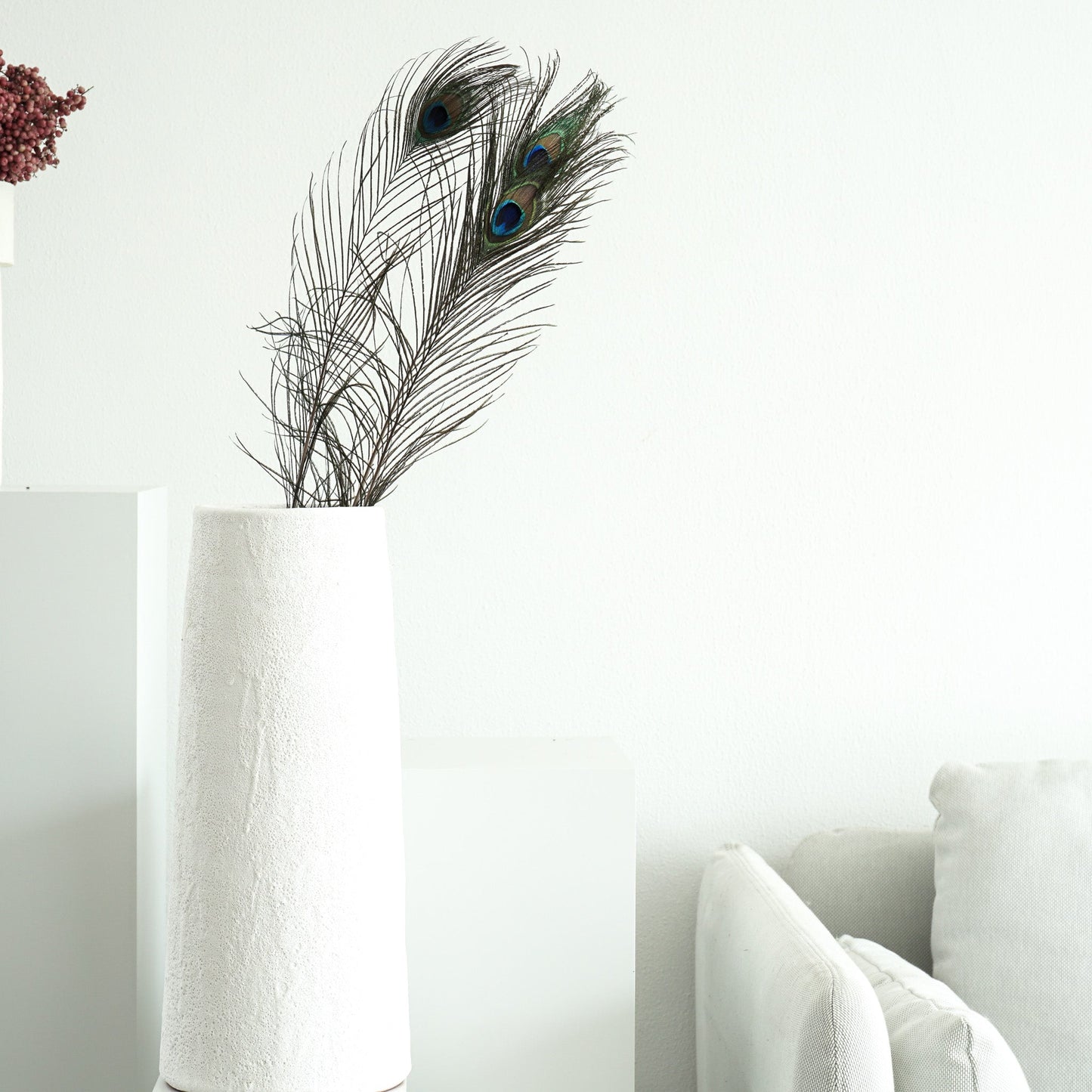 Pfauenfeder 3 Stiele