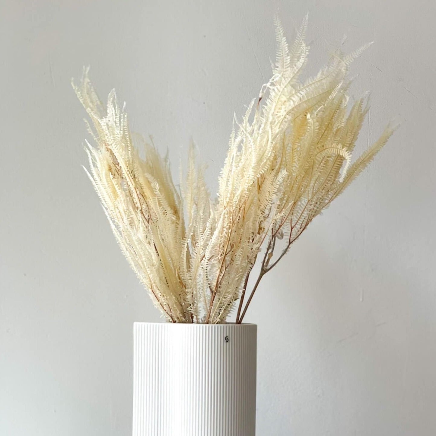 Konservierter Farn: Zauberhafte Momente für Dein Zuhause