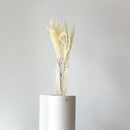 Konservierter Farn: Zauberhafte Momente für Dein Zuhause