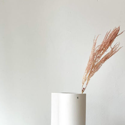 Konservierter Farn: Zauberhafte Momente für Dein Zuhause