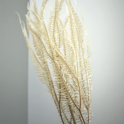 Konservierter Farn: Zauberhafte Momente für Dein Zuhause