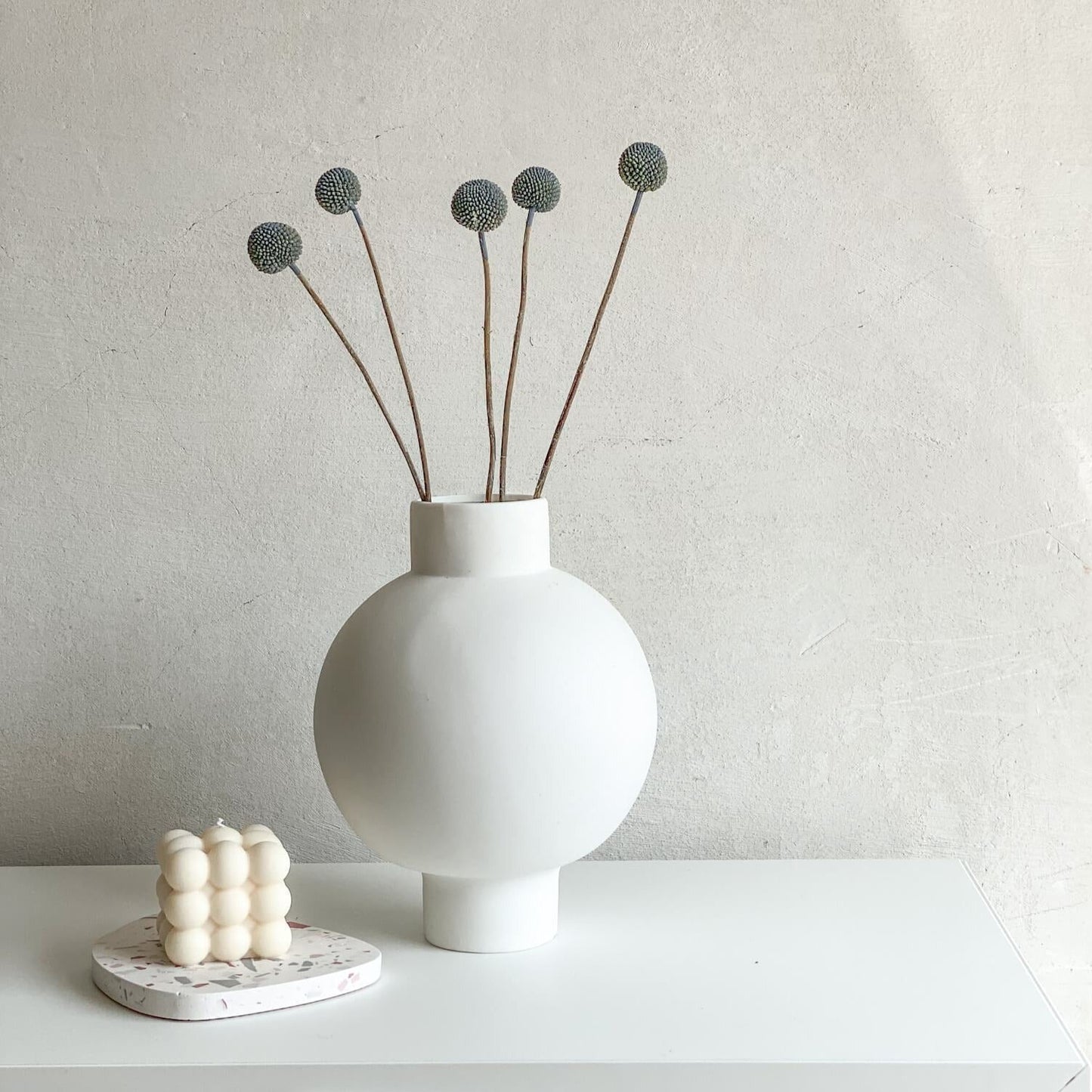 Craspedia I Trommelstöckchen