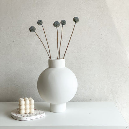 Craspedia I Trommelstöckchen