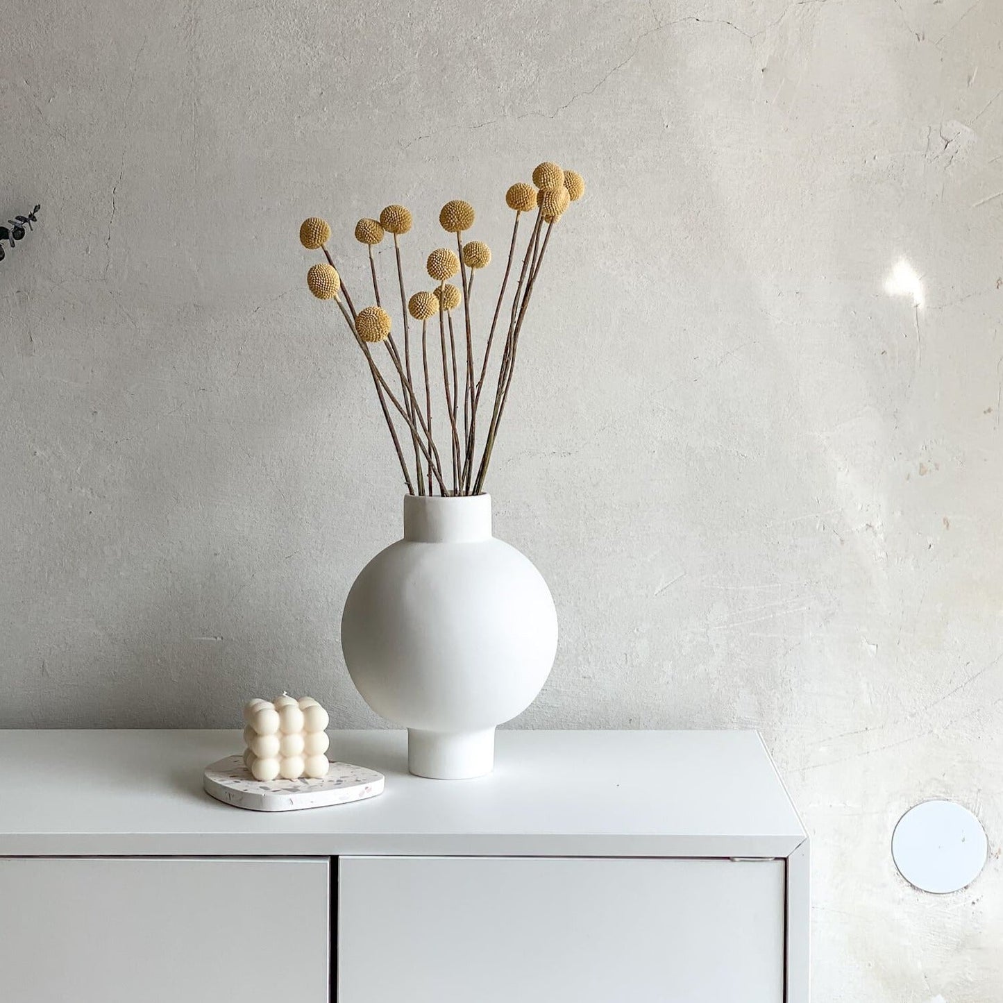 Craspedia I Trommelstöckchen