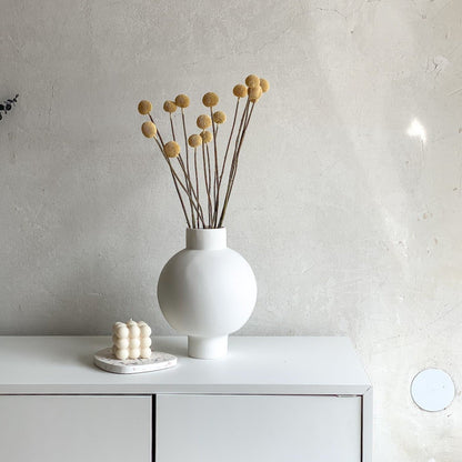 Craspedia I Trommelstöckchen