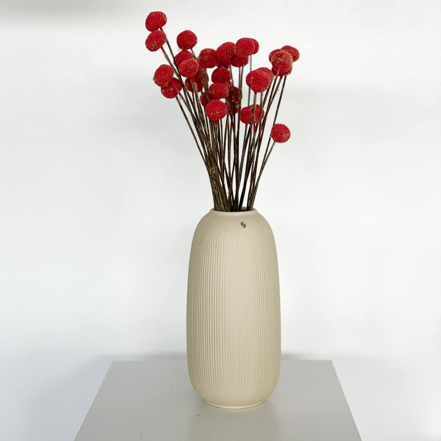 Craspedia I Trommelstöckchen