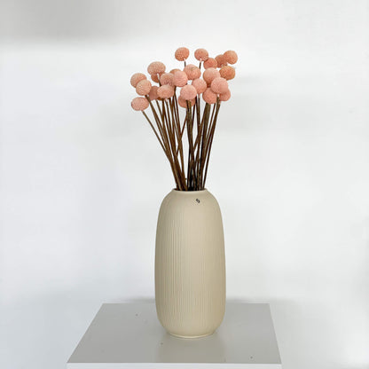 Craspedia I Trommelstöckchen