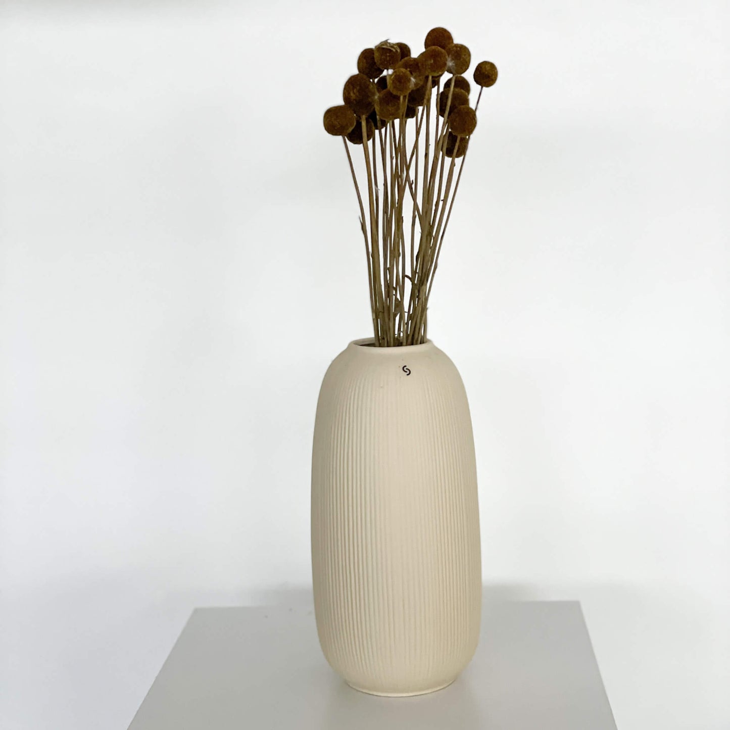 Craspedia I Trommelstöckchen