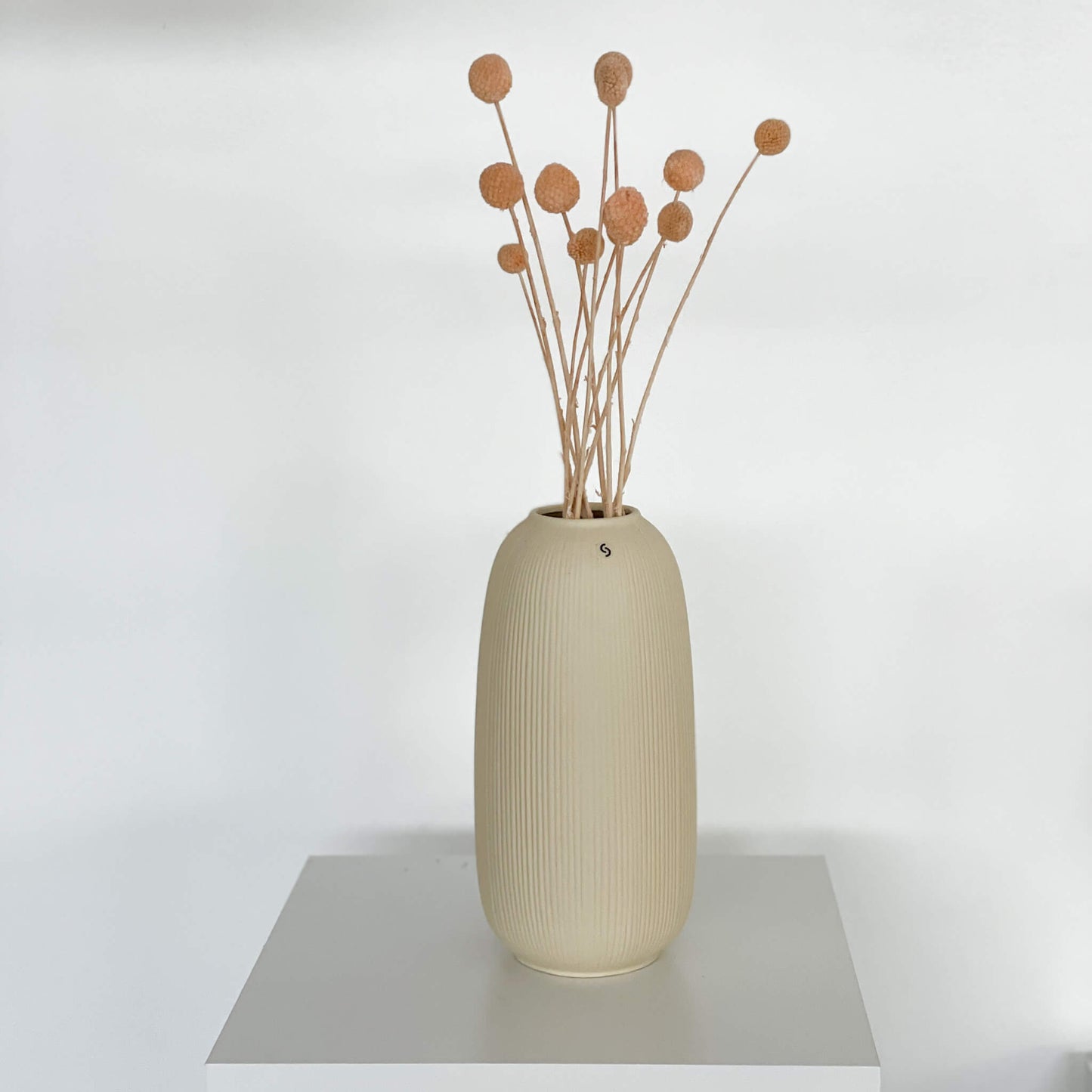 Craspedia I Trommelstöckchen