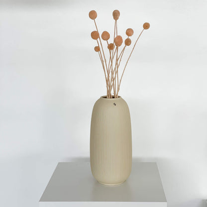 Craspedia I Trommelstöckchen