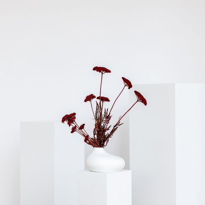 Schafgarbe getrocknet | Achillea