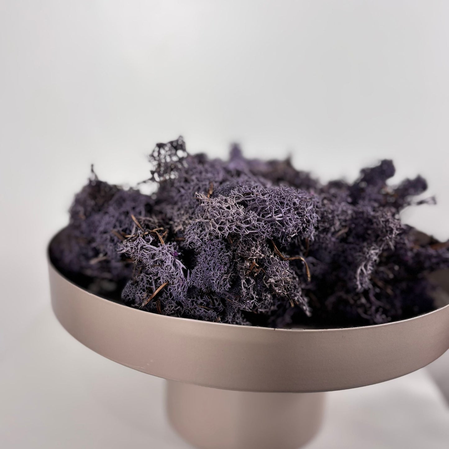 Reindeer Moss I Island Moos I Deko Moos