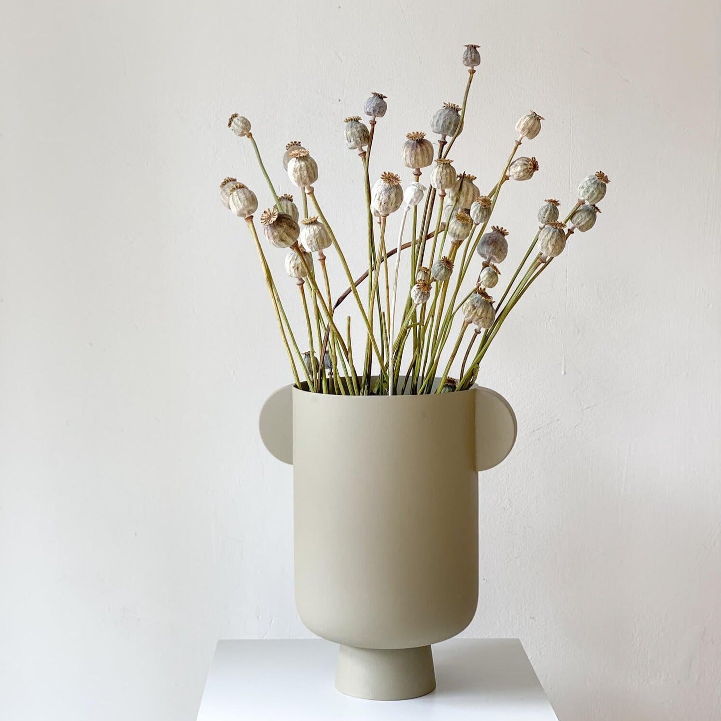 Mohnkapseln getrocknet: Lass deine Wohnung erblühen!