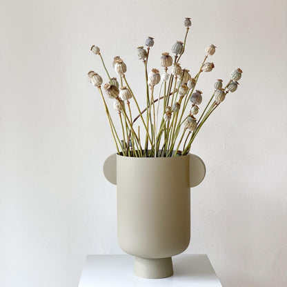 Mohnkapseln getrocknet: Lass deine Wohnung erblühen!