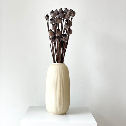 Mohnkapseln getrocknet: Lass deine Wohnung erblühen!