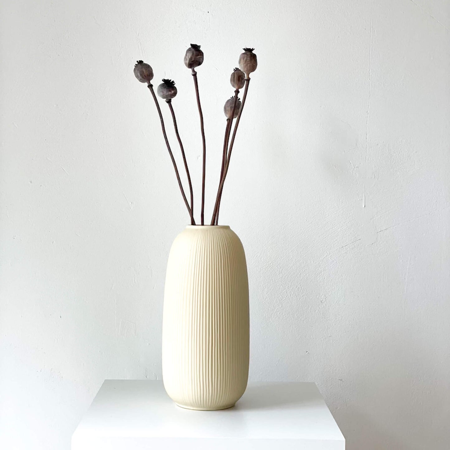 Mohnkapseln getrocknet: Lass deine Wohnung erblühen!