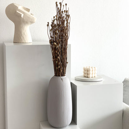 Mohnkapseln Mini - kleine Kapsel