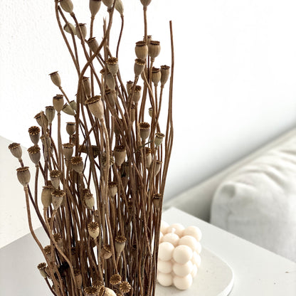 Mohnkapseln Mini - kleine Kapsel