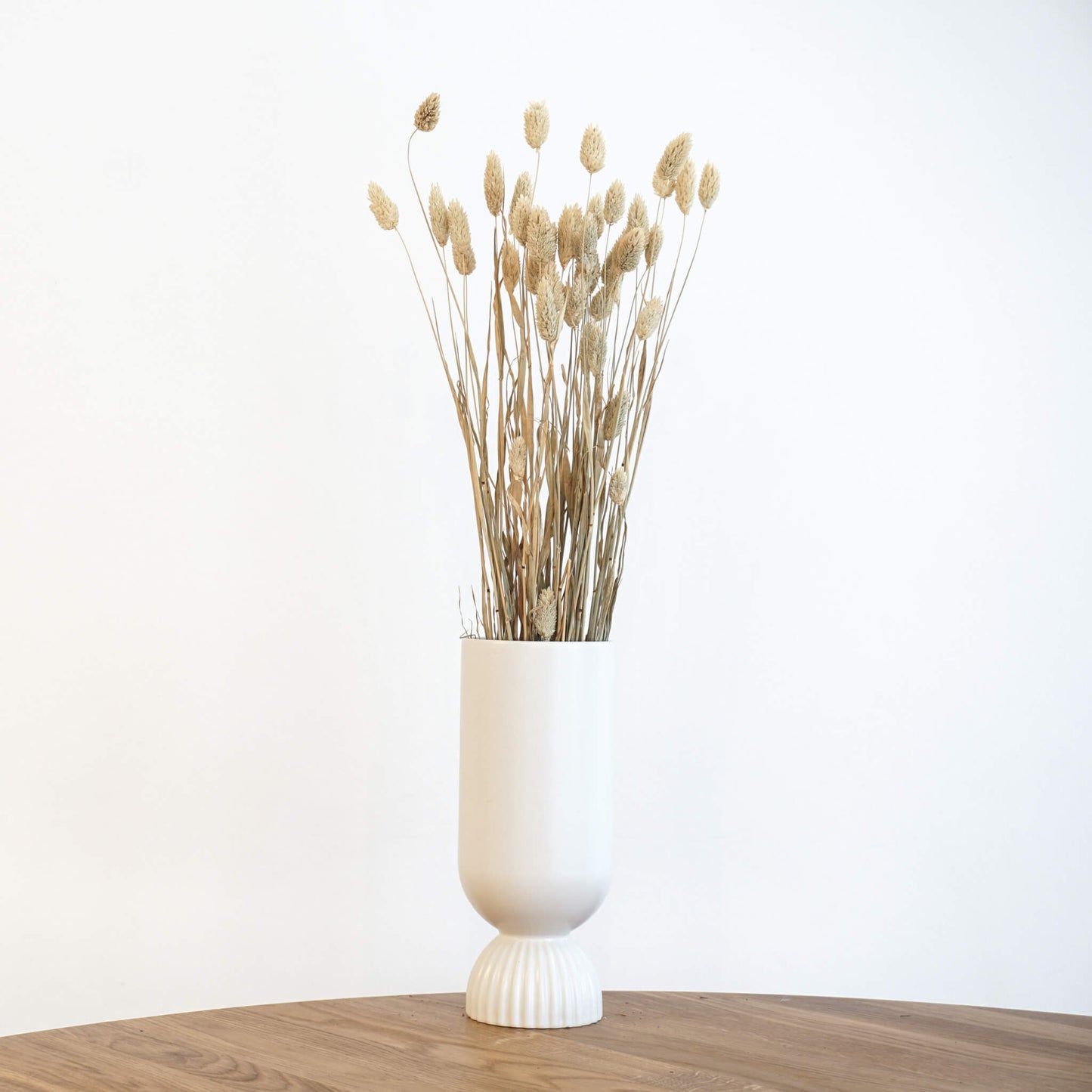 Phalaris I Kanariengras: Vielseitiger Allrounder für Deine Trockenblumen-Dekoration