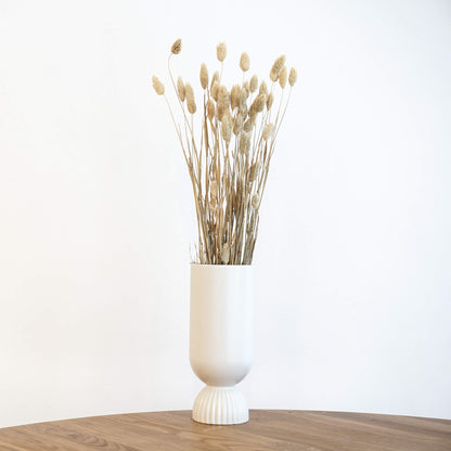 Phalaris I Kanariengras: Vielseitiger Allrounder für Deine Trockenblumen-Dekoration