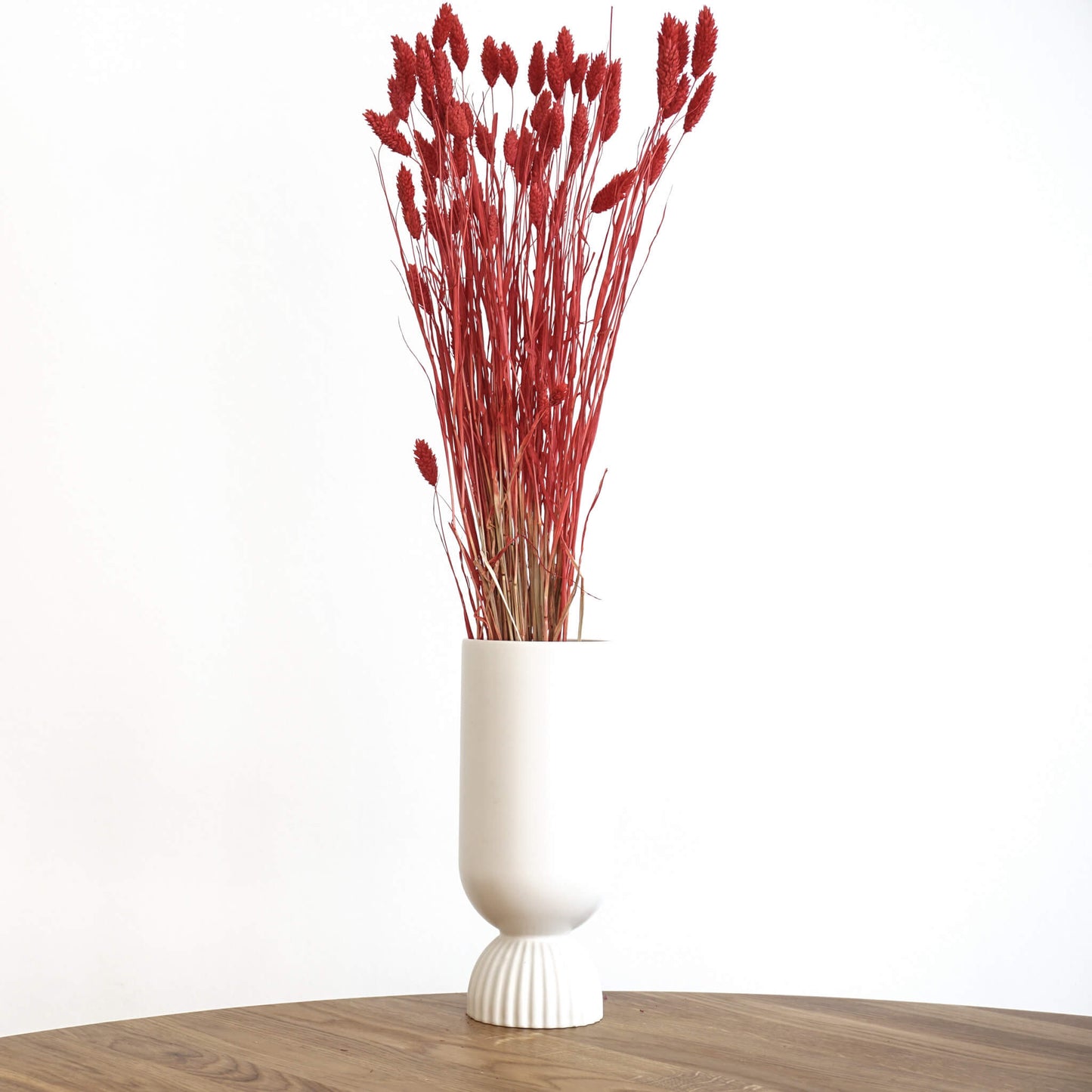 Phalaris I Kanariengras: Vielseitiger Allrounder für Deine Trockenblumen-Dekoration