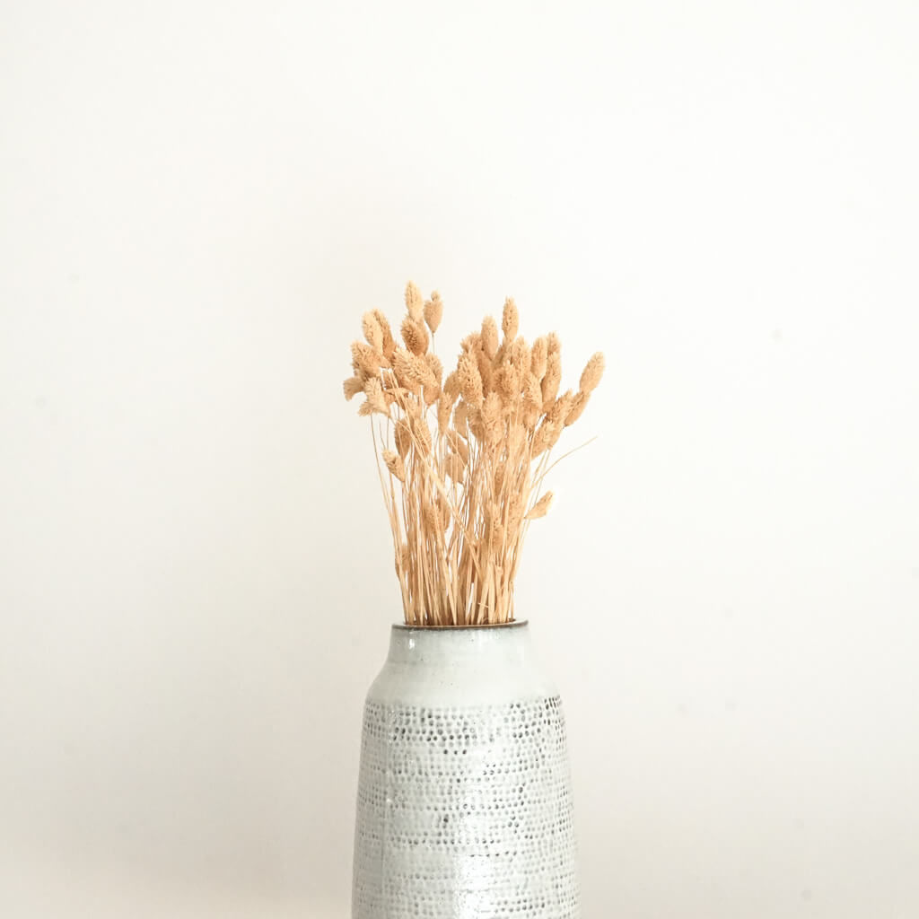 Phalaris I Kanariengras: Vielseitiger Allrounder für Deine Trockenblumen-Dekoration