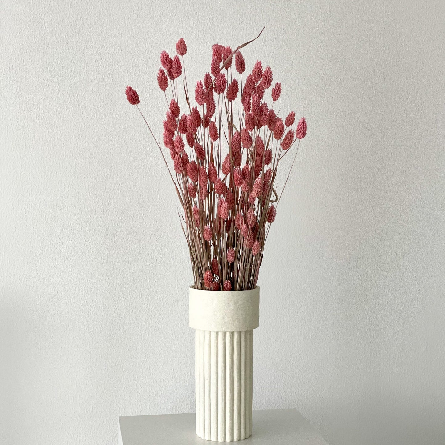 Phalaris I Kanariengras: Vielseitiger Allrounder für Deine Trockenblumen-Dekoration