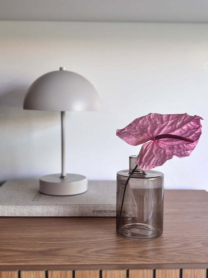 Anturie konserviert einzeln